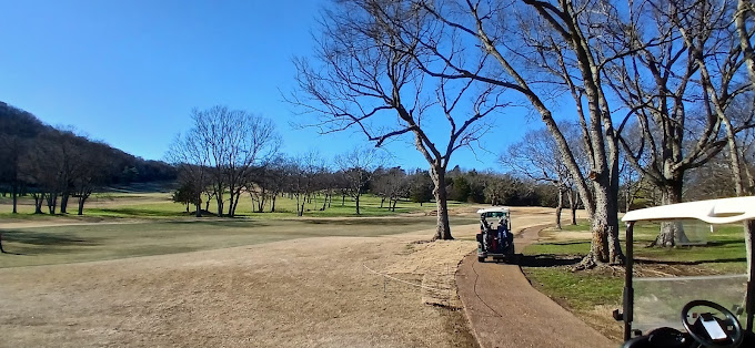 Nashville Golf & Athletic Club - Photo 18