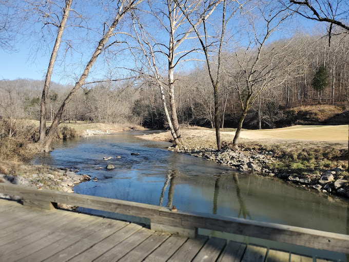 The Golf Club of Tennessee - Photo 12
