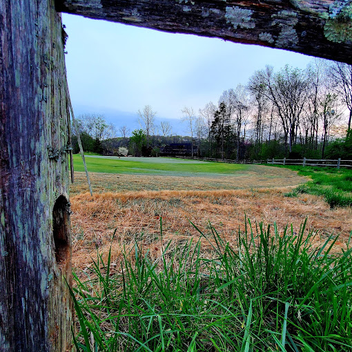 The Golf Club of Tennessee - Photo 4