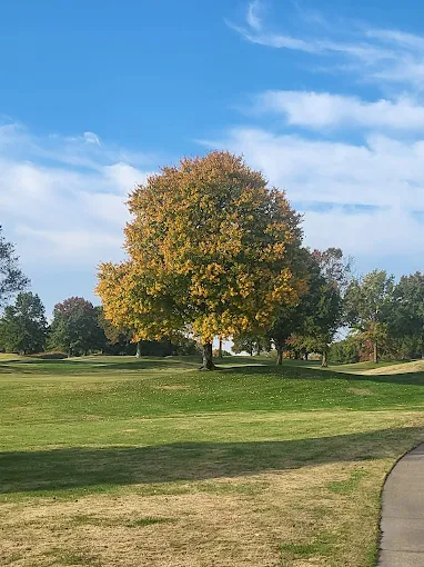 Tournament-Quality Conditions